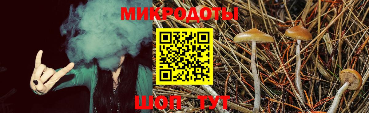 Псилоцибиновые грибы мицелий Ессентуки